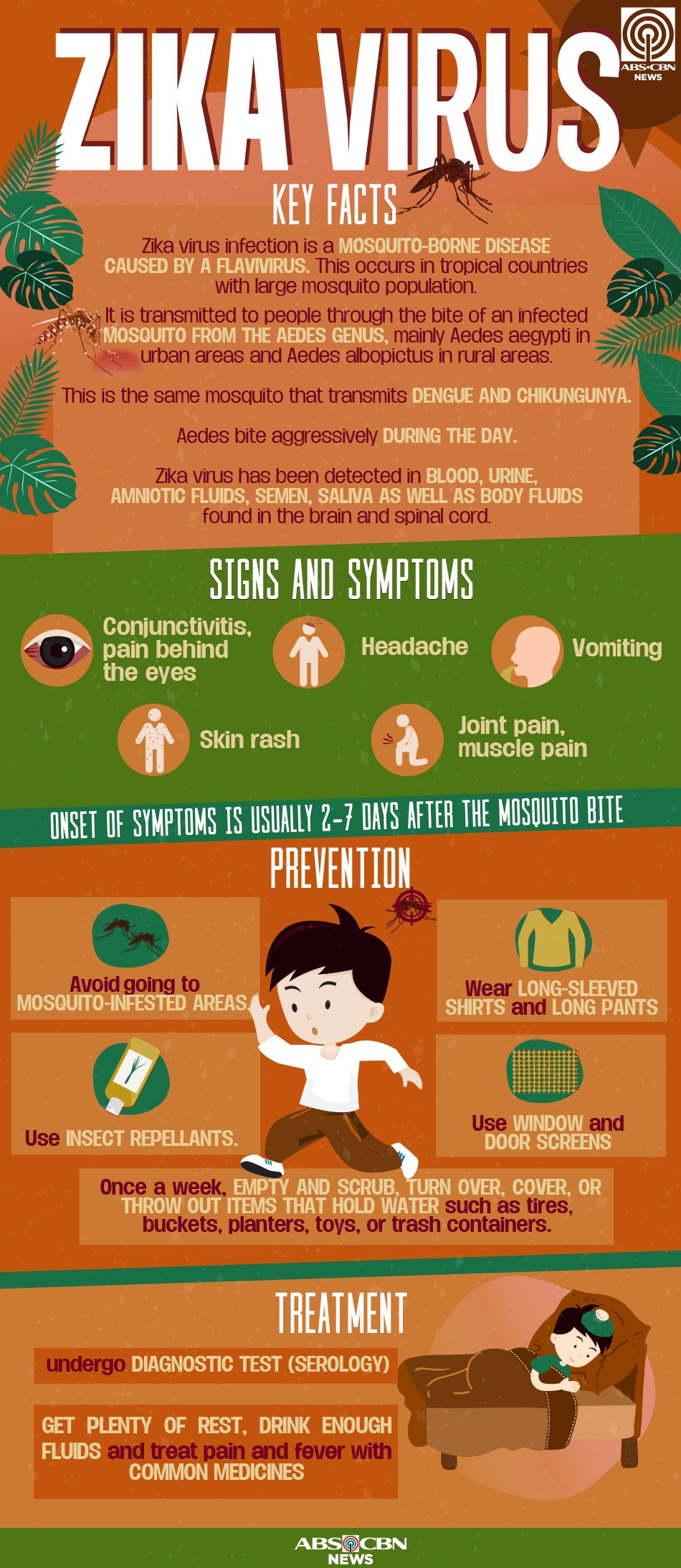 Zika virus: Key facts 3
