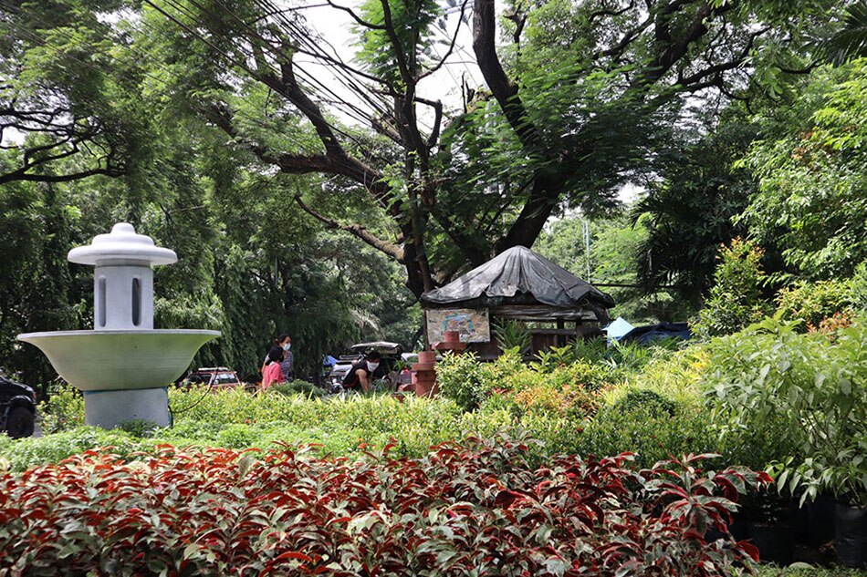 Bonsai Garden Up Diliman Rates Fasci Garden