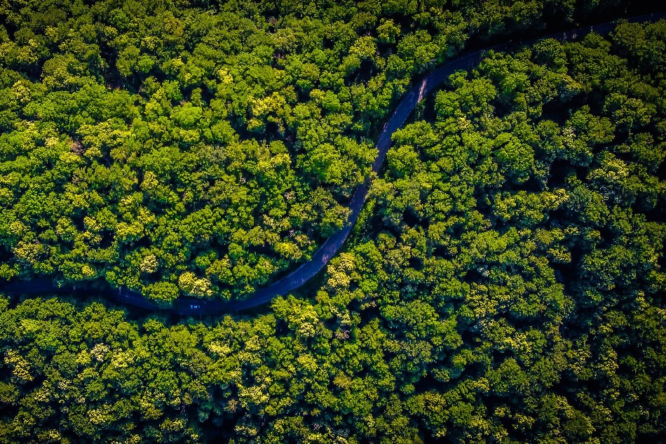 Photo by Vlad Hilitanu on Unsplash