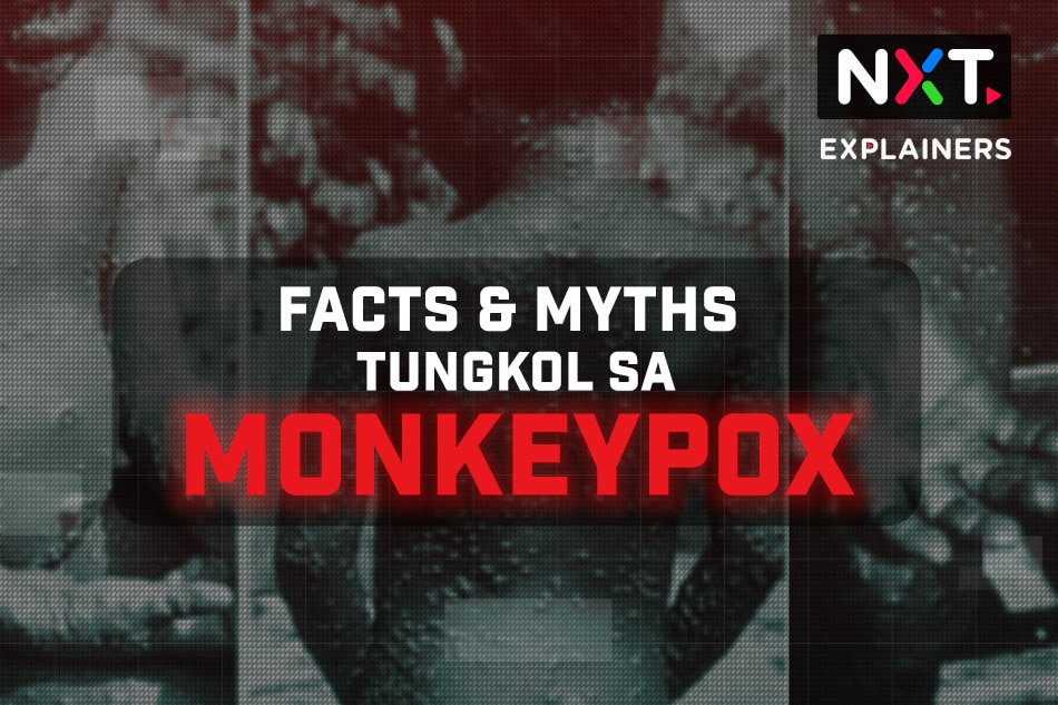 Facts Myths Tungkol Sa Monkeypox ABS CBN News