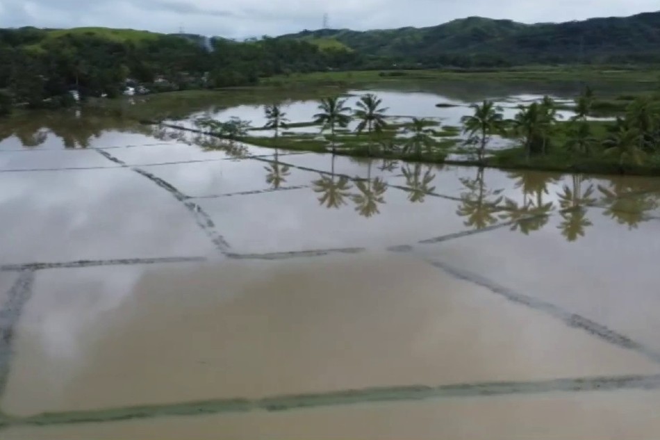 Palayan Sa Ilang Bahagi Ng Samar Lubog Sa Baha ABS CBN News