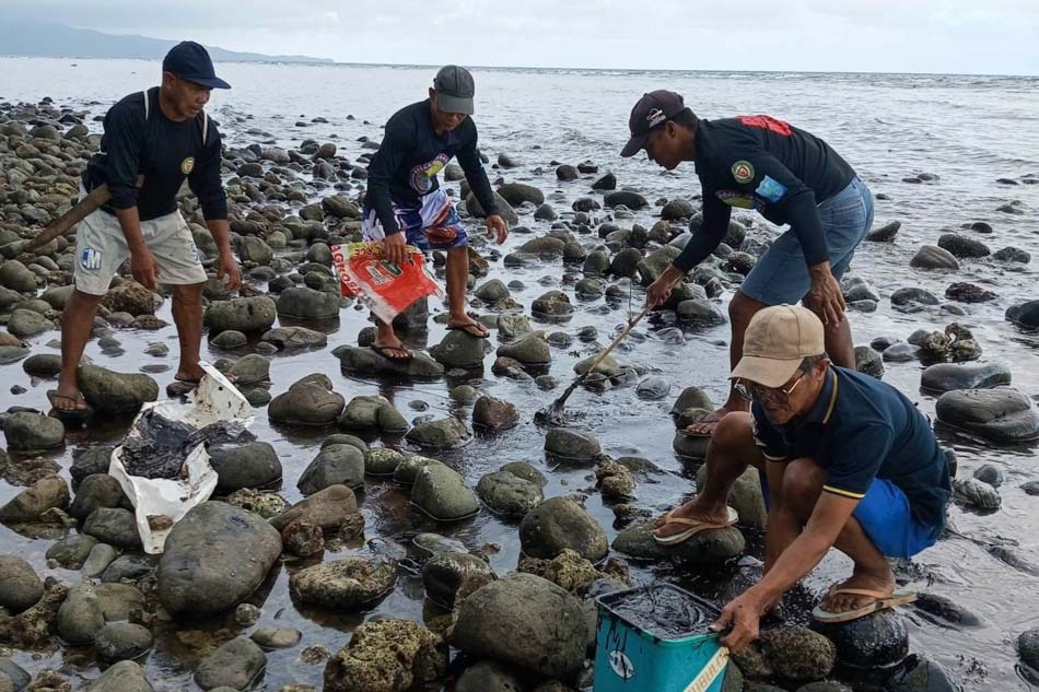 Alternative Fishing Areas For Oil Spill Hit Fisherfolk Bared Abs Cbn News