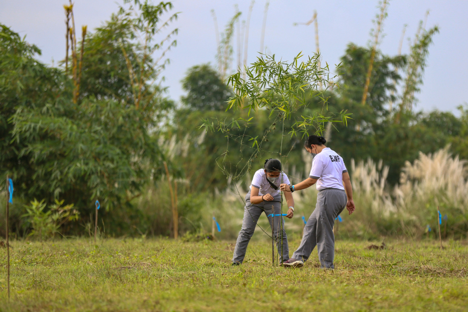 Tulong Panlaban Sa Init DENR Tuloy Sa Programang Pagtatanim Ng Puno