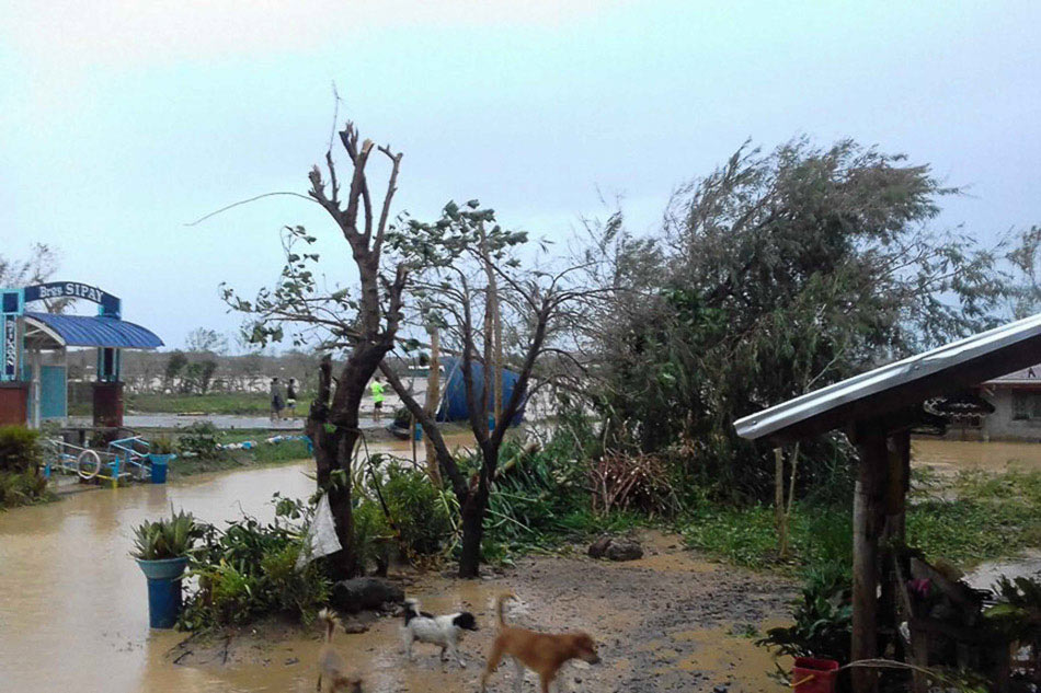 IN PHOTOS: Typhoon Lawin Aftermath 7