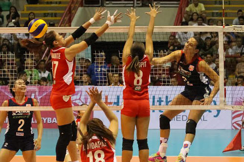 Cignal, Petron renew rivalry; PSL tests new innovation | ABS-CBN News