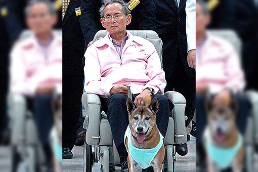 Thai faces jail for insulting king&#39;s dog: lawyer 1