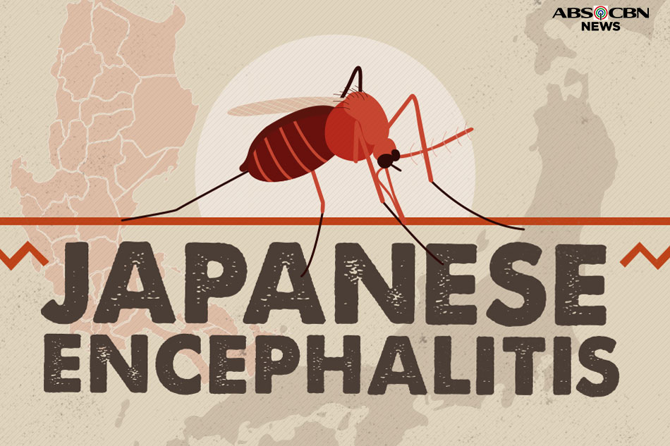 What is Japanese encephalitis? | ABS-CBN News