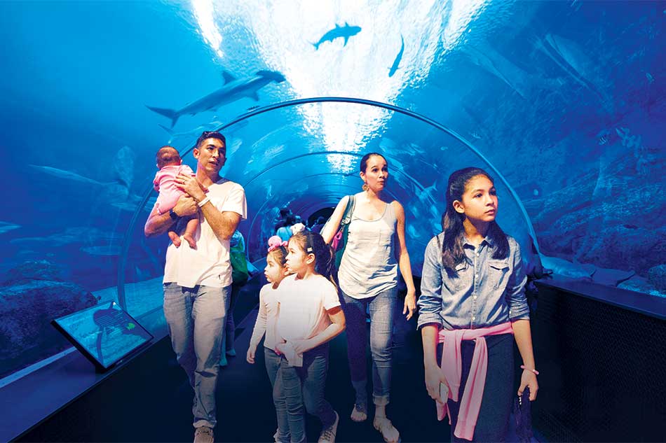 Why Singapore is the best family destination in Asia | ABS-CBN News