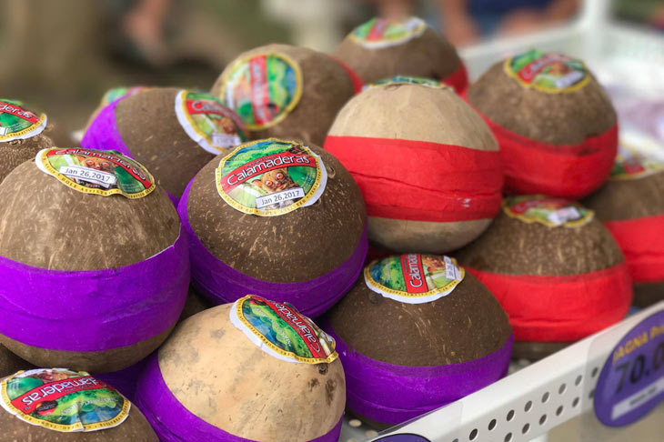 LOOK: Bohol shows many ways to enjoy ube | ABS-CBN News