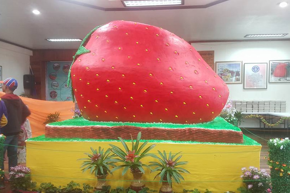 Look Giant Strawberry Cake In La Trinidad Abs Cbn News