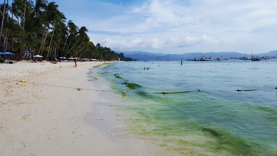 Slimy algae in Boracay stir debate among locals, experts 7