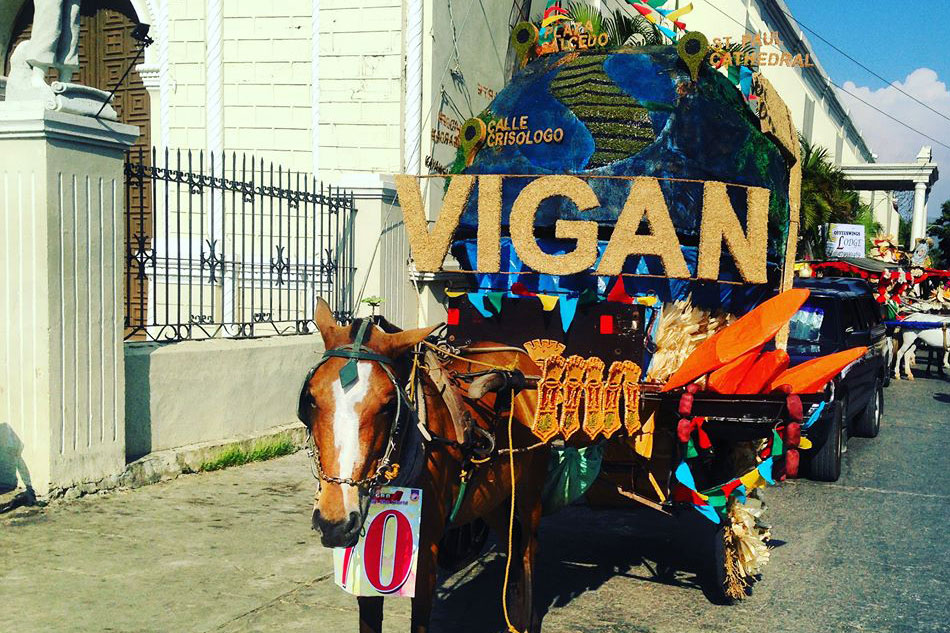 Image result for viva vigan