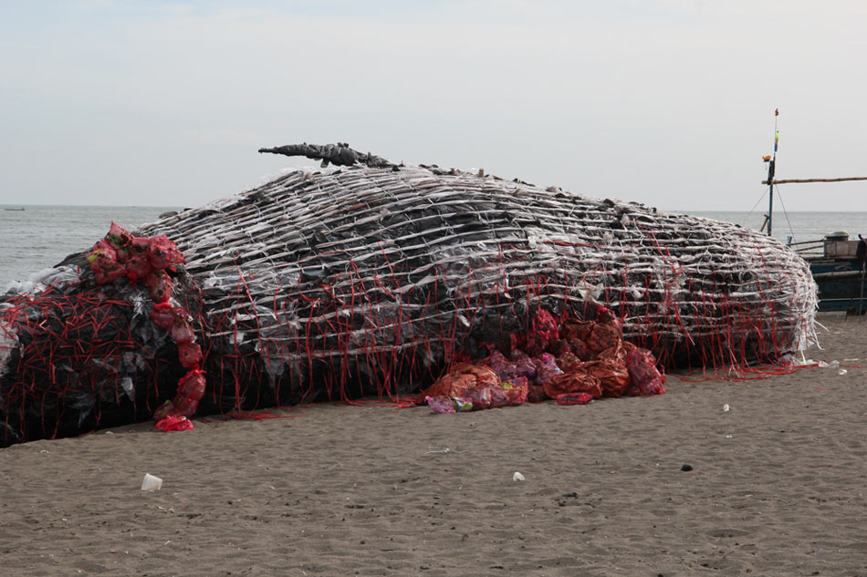 Look Dead Whale Serves As Wake Up Call On Plastic Pollution Abs Cbn News