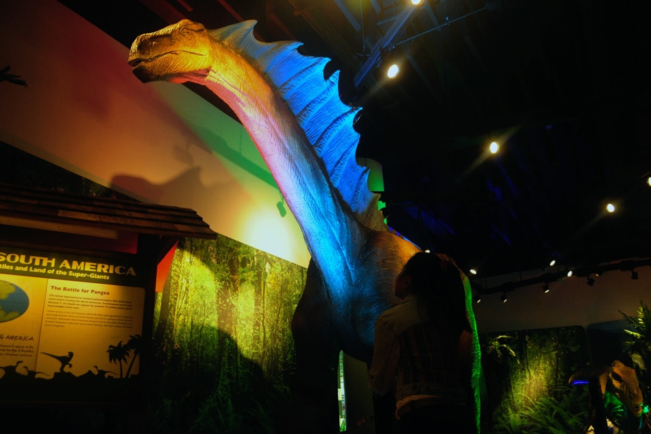 IN PHOTOS: What to expect at Mind Museum's dinosaur ...