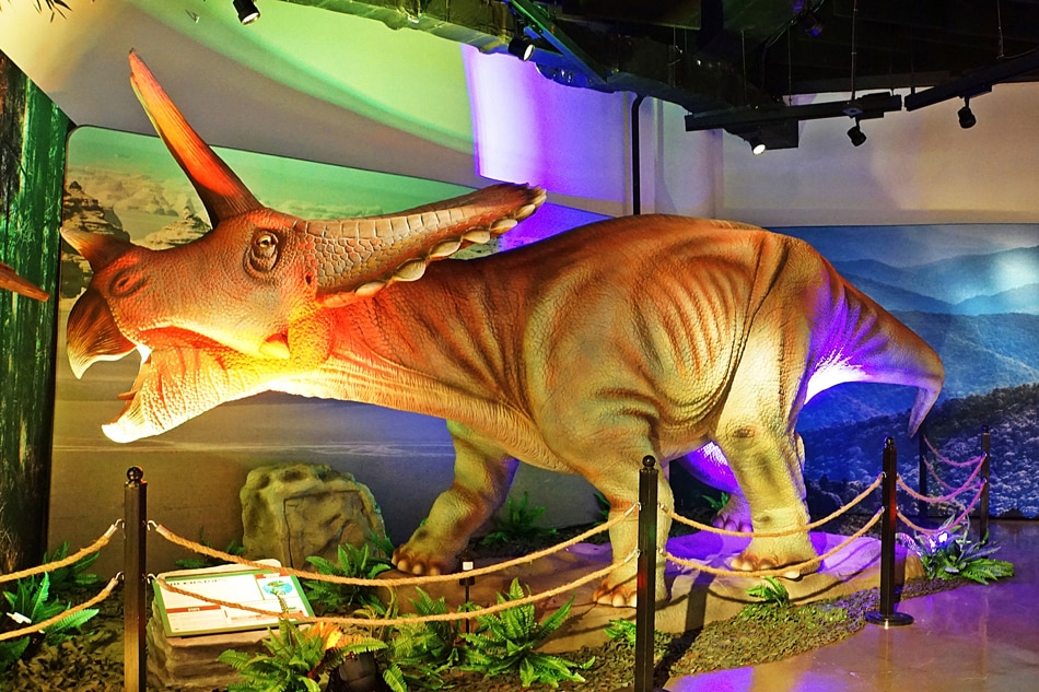 IN PHOTOS: What to expect at Mind Museum's dinosaur ...