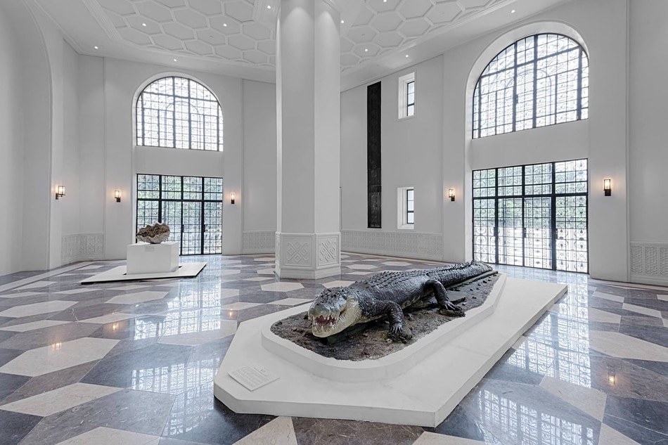 IN PHOTOS: A look inside the new National Museum of Natural History 1