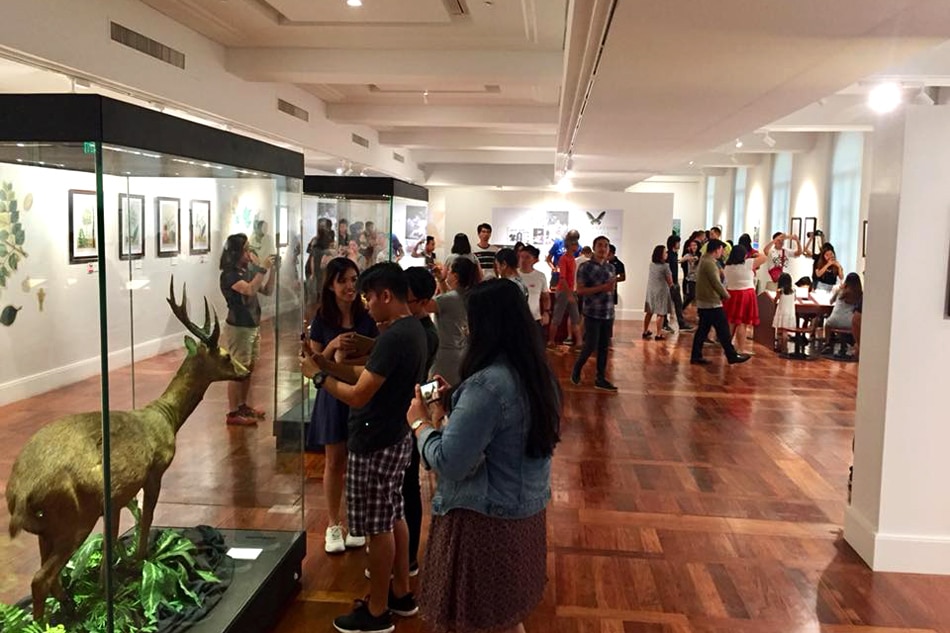 IN PHOTOS: A look inside the new National Museum of Natural History 10
