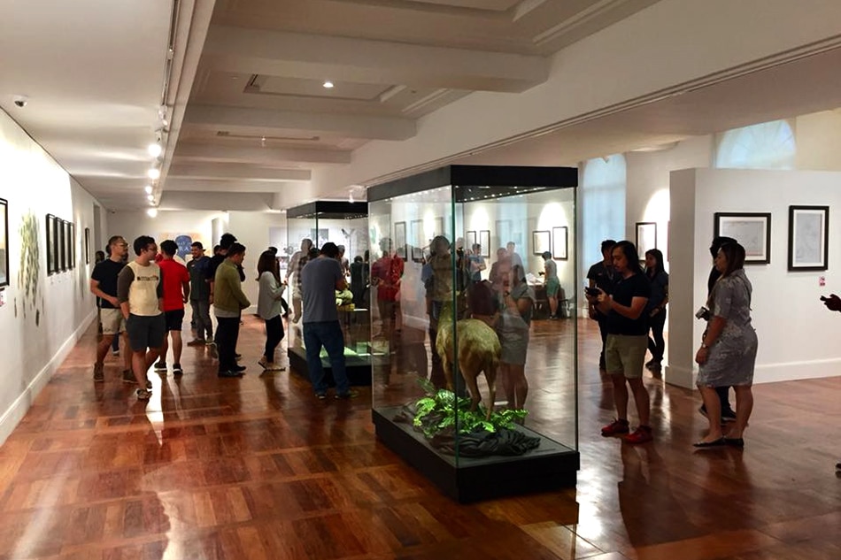 IN PHOTOS: A look inside the new National Museum of Natural History 11