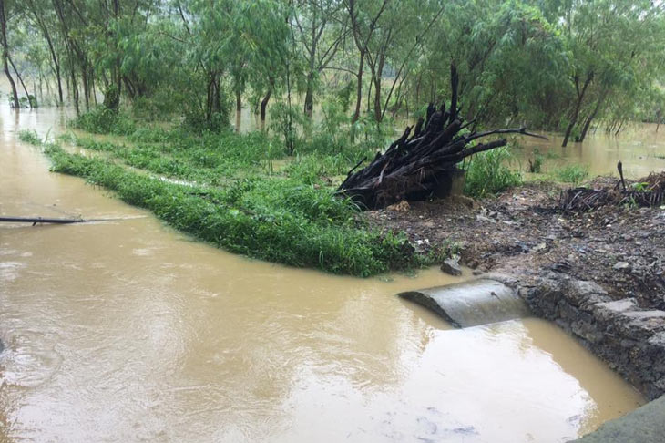 LOOK: 'Auring' causes flooding in Toledo City | ABS-CBN News