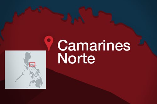 5 cops dead, 2 wounded in encounter with suspected rebels in Camarines Norte