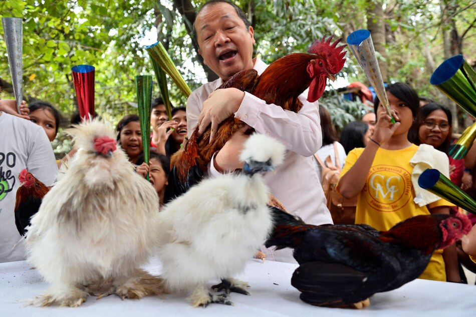 year-of-the-fire-rooster-abs-cbn-news