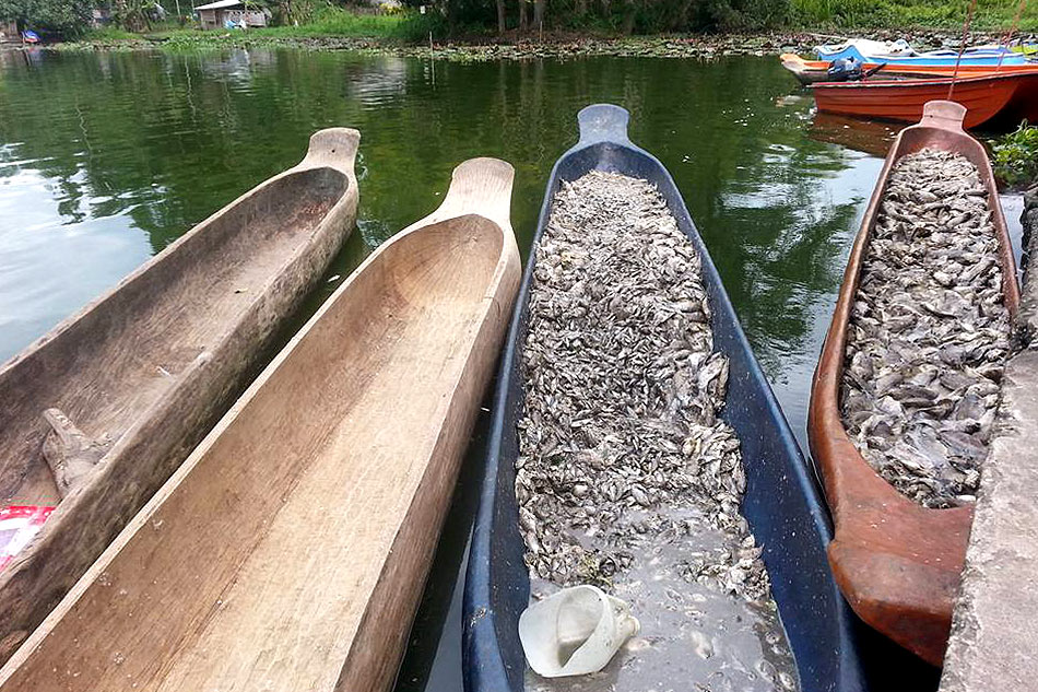 Fish kill damage reaches P100M in South Cotabato ABS