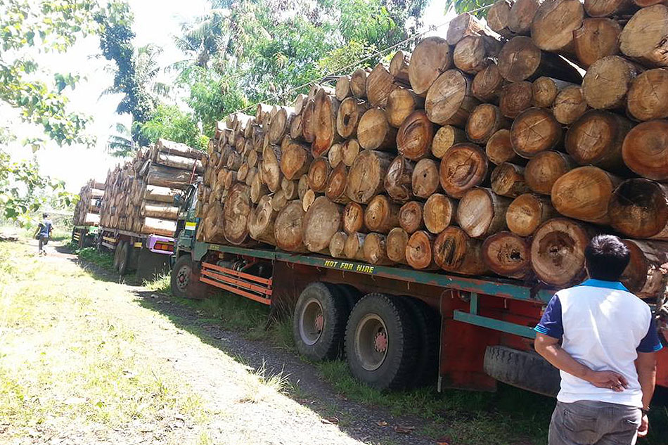 DILG orders crackdown on illegal logging, quarrying 1