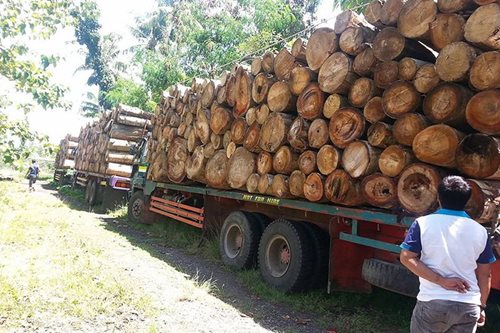 DILG orders crackdown on illegal logging, quarrying