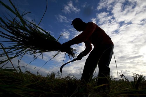 655,000 makikinabang sa moratorium sa land amortization