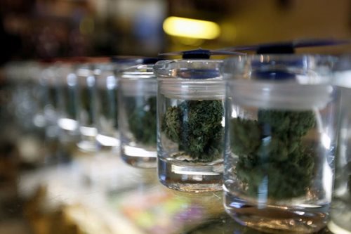 Isko nixes legalization of medical marijuana