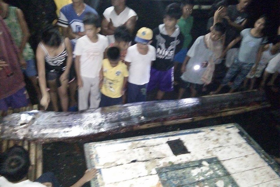 LOOK: Another oarfish found in Southern Leyte; 3rd this year 3