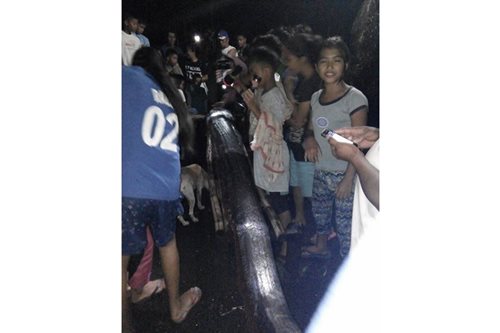 LOOK: Another oarfish found in Southern Leyte; 3rd this year 8