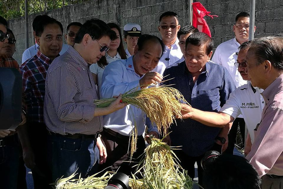 Duterte halts rice importation due to high local yield- Pi&#241;ol 1