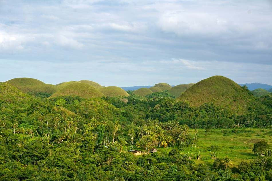 Bohol to require negative RT-PCR tests for tourists 1