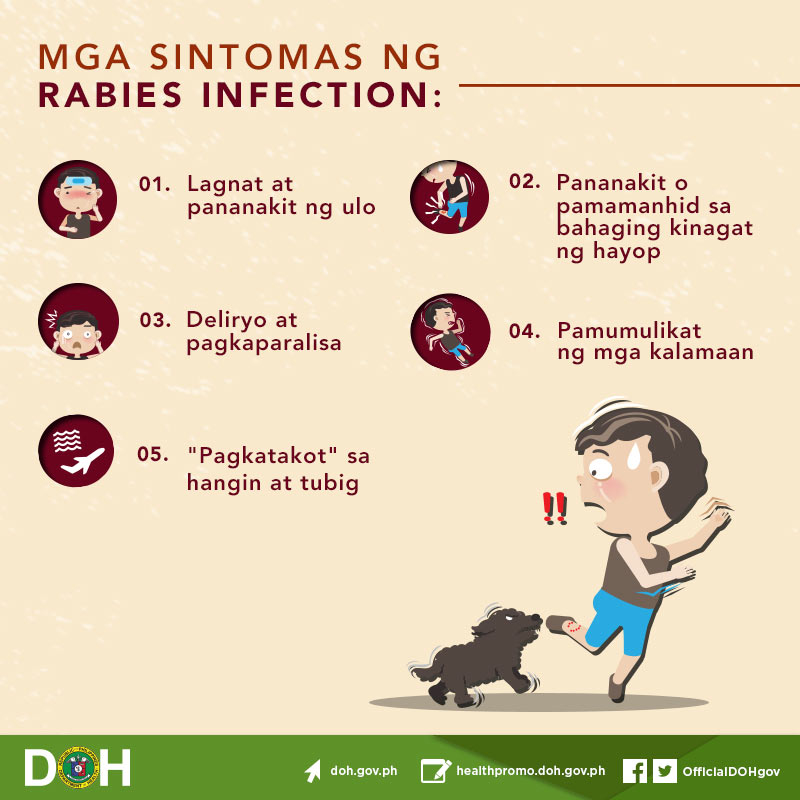 ALAMIN: Paano makakaiwas sa rabies? | ABS-CBN News