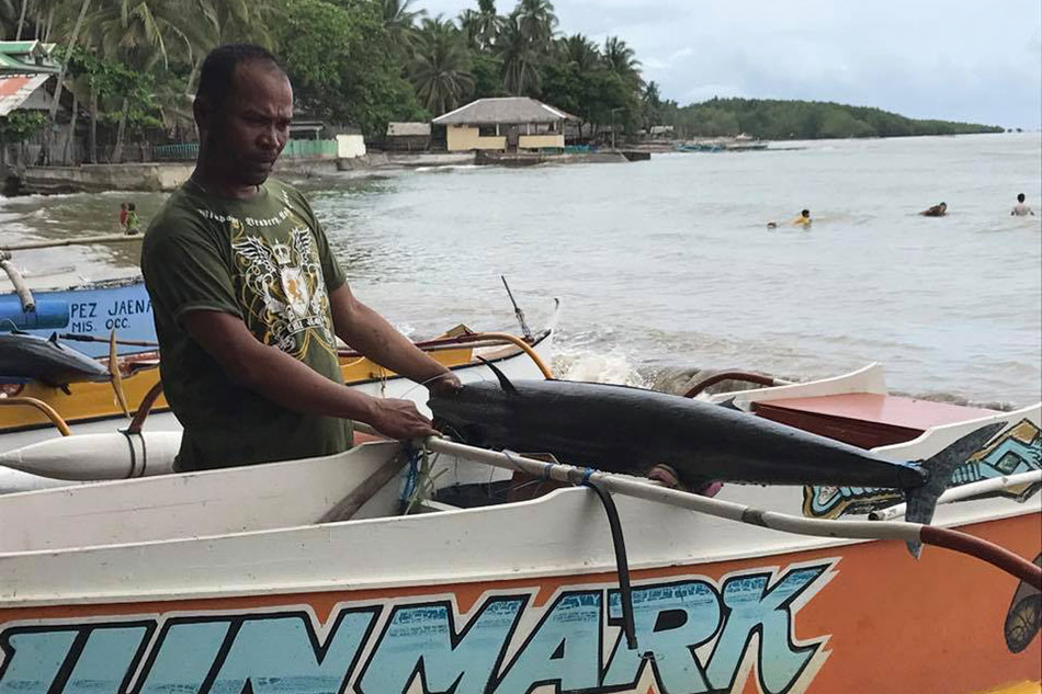 A fisherman&#39;s story: No &#39;tattoo&#39; on fish caught in Misamis Occidental 3
