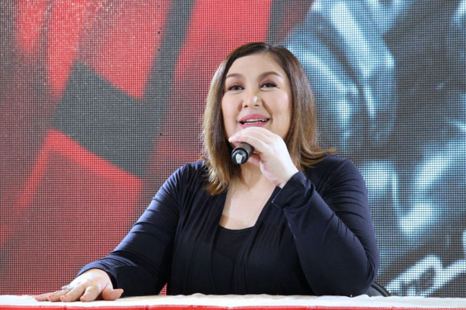 This Hermès bag puts on sideline Sharon Cuneta's rumored marital troubles  in 2008