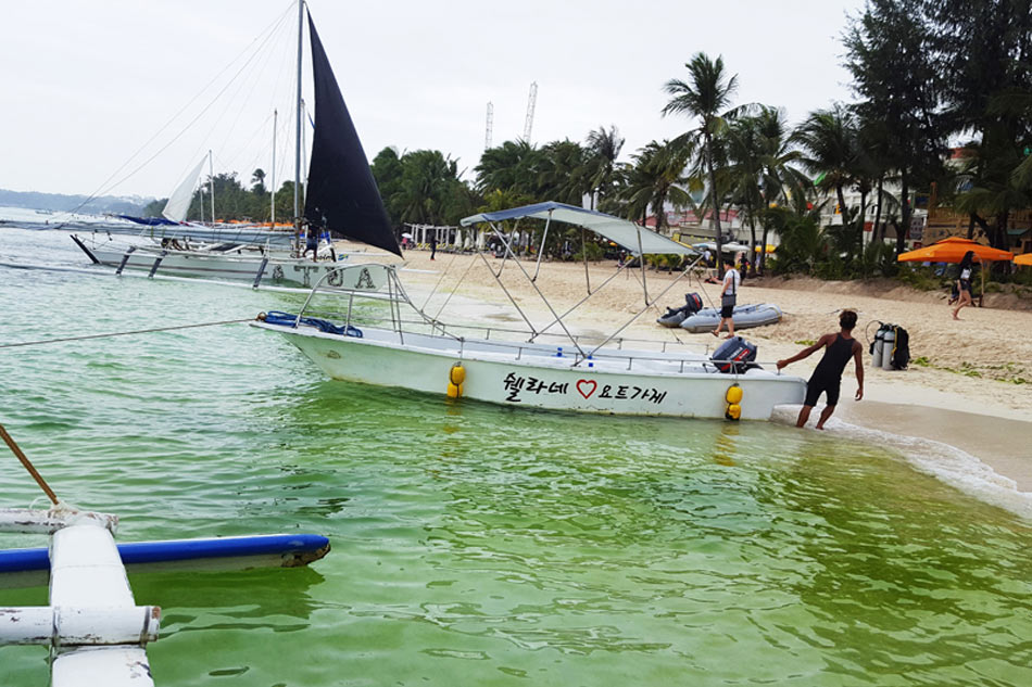 Time to limit number of tourists in Boracay: experts 5