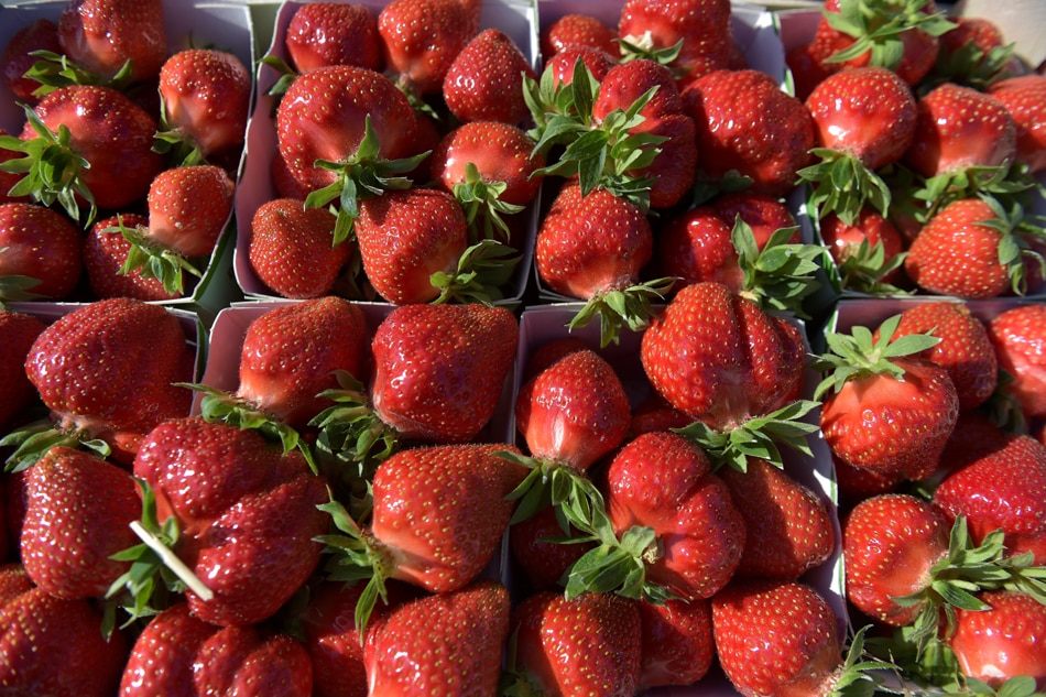 How Brexit threatens Britain&#39;s summertime strawberries 1