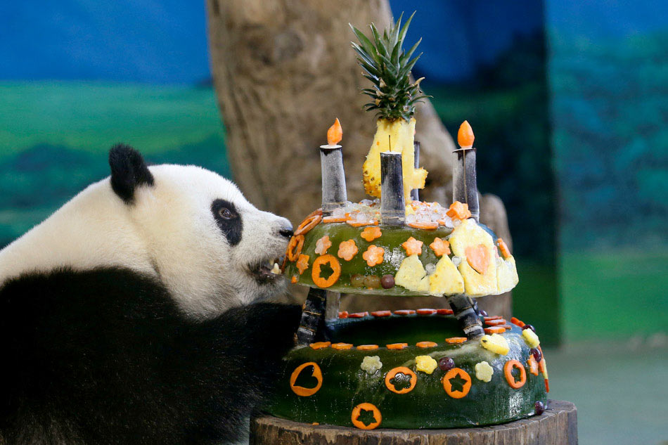 Pandas Eating Cake