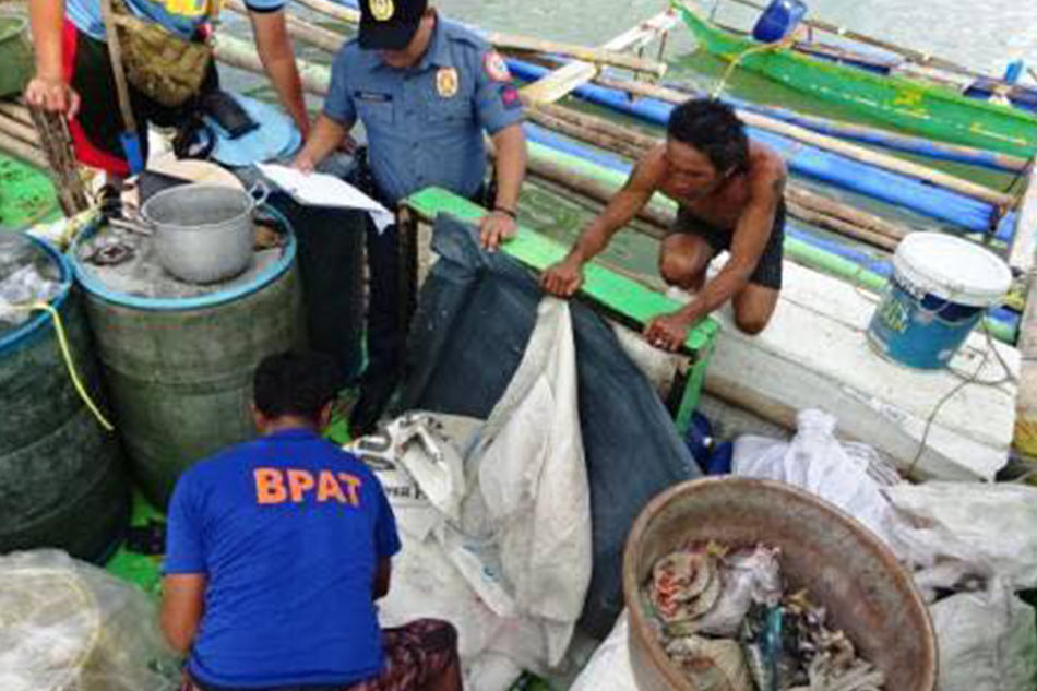 27 mangingisda, timbog sa paggamit ng dinamita sa Palawan | ABS-CBN News