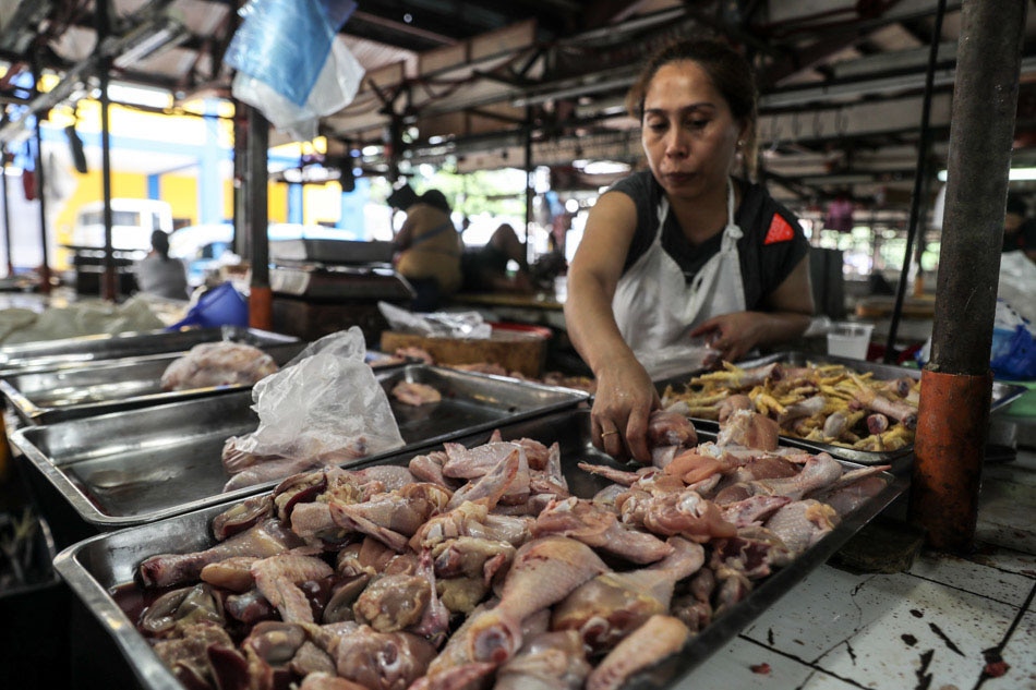 Recto blasts DA&#39;s order for PH poultry raisers to limit production to give way to imports 1