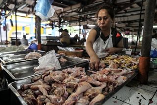 Recto blasts DA's order for PH poultry raisers to limit production to give way to imports