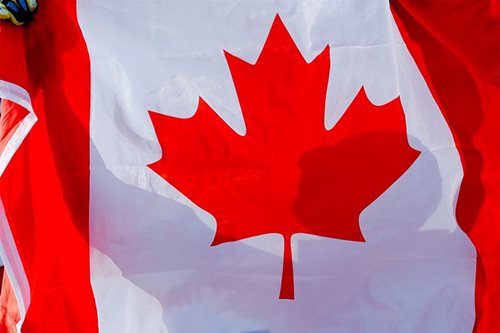 Mambabatas sa Canada aksidenteng nagpakita sa virtual hearing nang nakahubad