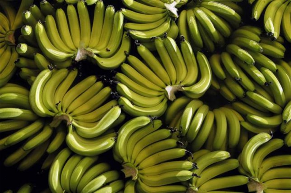 Dole Japan to recall 9,000 bunches of Philippine bananas ABSCBN News