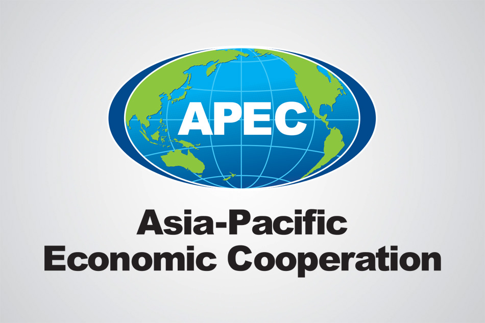 Apec 11 подшипник