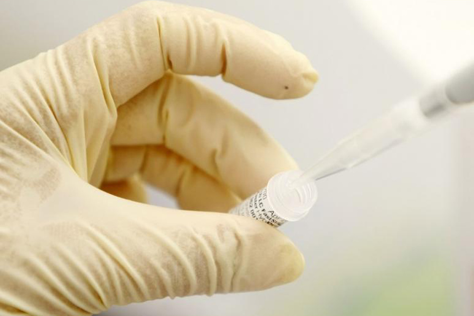 U.S. scientists take step toward creating artificial life