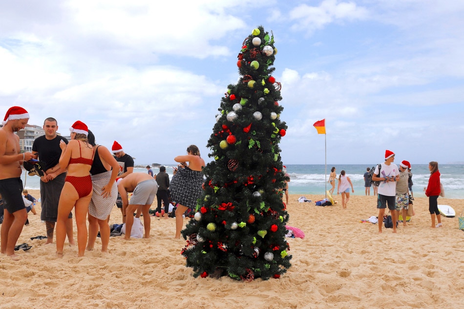 Christmas In Australia Tree - Australia Moment