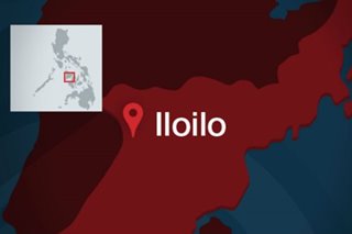 Defensor enjoying big lead in Iloilo gubernatorial race