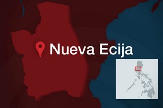 53 communist rebels surrender in Nueva Ecija